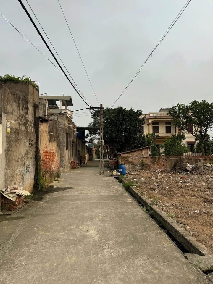 Đất nền tại xã Lạc Đạo, huyện Văn Lâm 78m² giá 2 tỷ - Cơ hội đầu tư hấp dẫn!