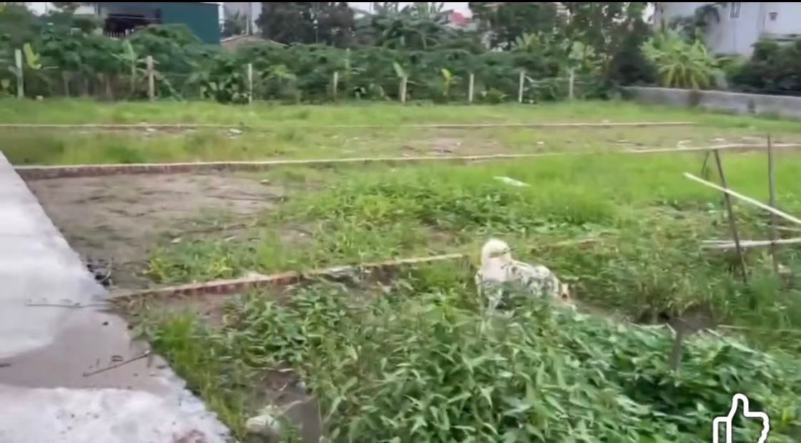 Đất nền Cẩm Việt, Thanh Hà, 150m² - Vị trí đắc địa, thuận tiện giao thông!