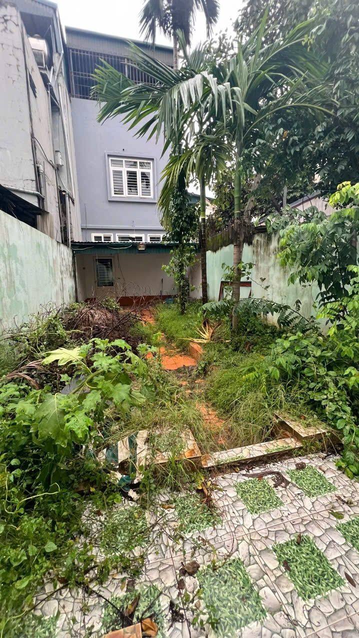 Đất nền Phố Đồng Lễ - P. Đông Hải 52.9m² giá 1 tỷ - Đầu tư lý tưởng!