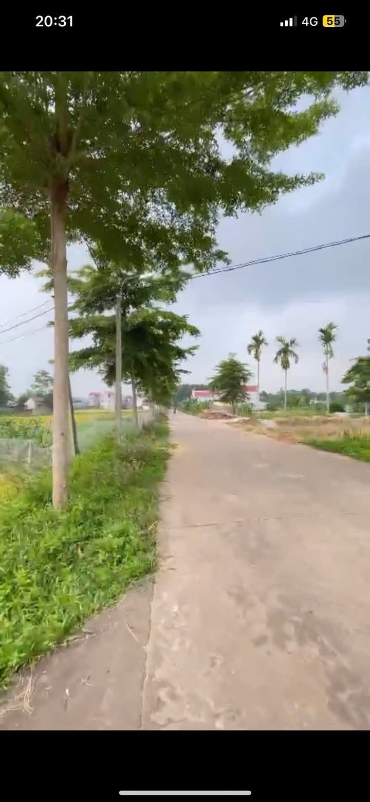 Đất nền Tân Đức, Phú Bình 154m² giá thương lượng - Tiềm năng đầu tư cao!