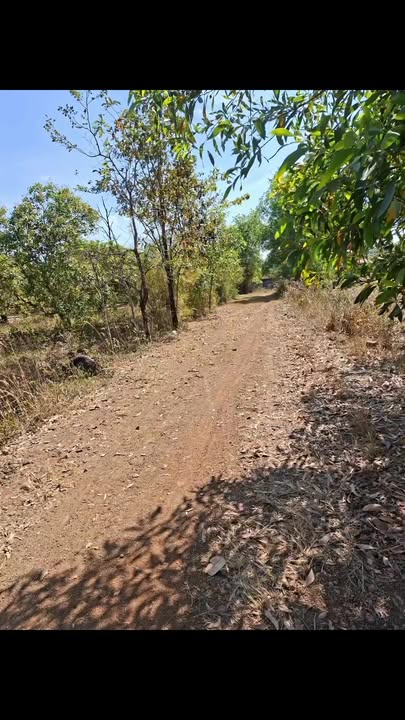 Lô đất Farm 2,8ha tại Ea M'droh, Đắk Lắk - Giá chỉ 1,35 tỷ!