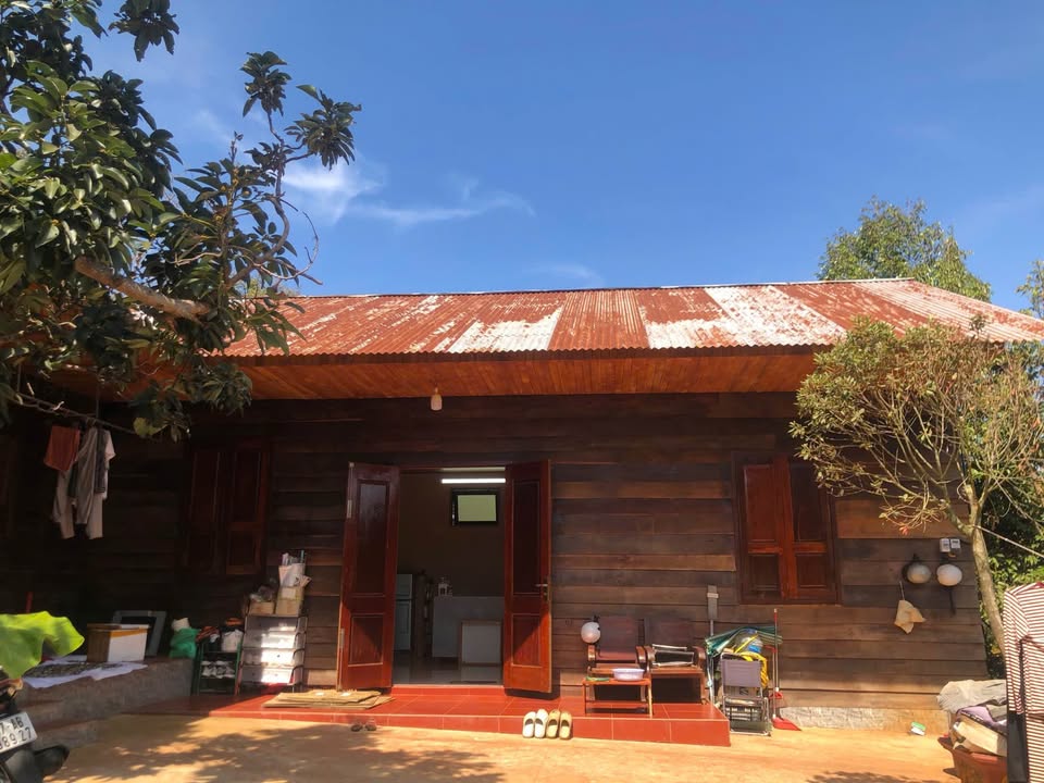 Nhà vườn mới 100% tại đường Nguyễn Thiếp, P Tự An - Chỉ 3.8 triệu/tháng