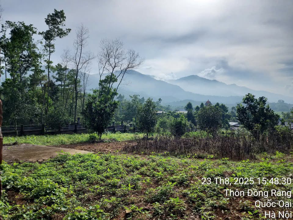 Đất thổ cư 2300m² tại Đông Xuân, Quốc Oai - Giá thương lượng hấp dẫn!