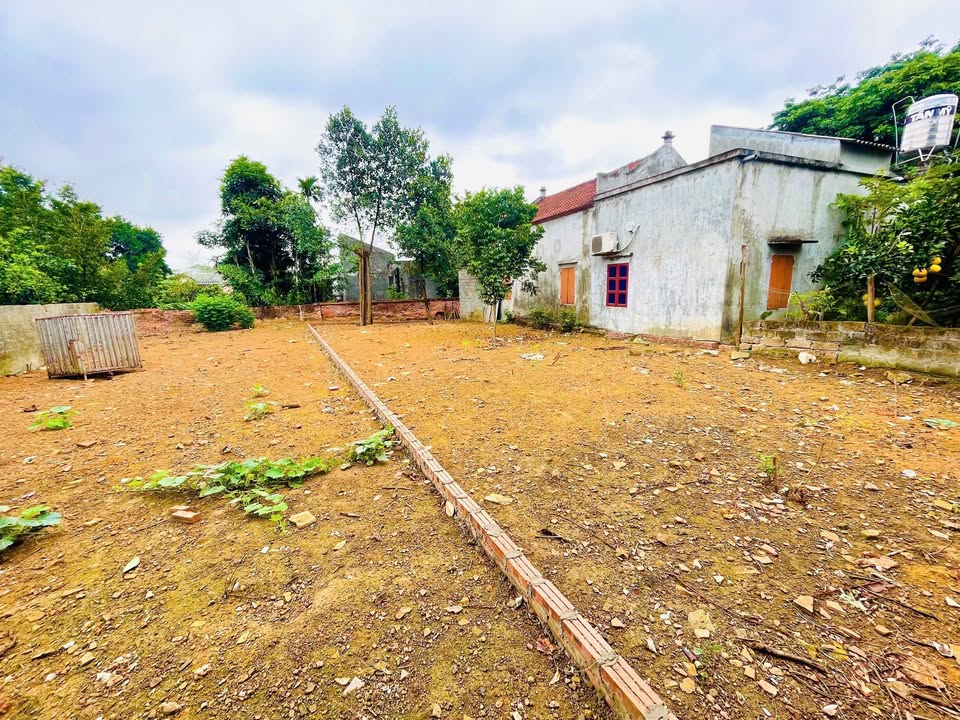 Đất thổ cư 164m² tại Yên Thái - Phú Cát giá chỉ 1 tỷ - Đường ô tô vào tận nơi!