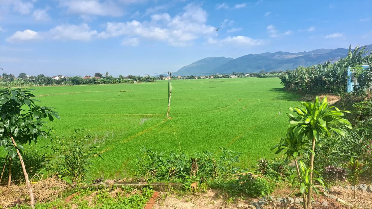 Đất thổ cư xã Suối Hiệp, Khánh Hòa 204m² giá 1.428 tỷ - Sổ hồng chính chủ