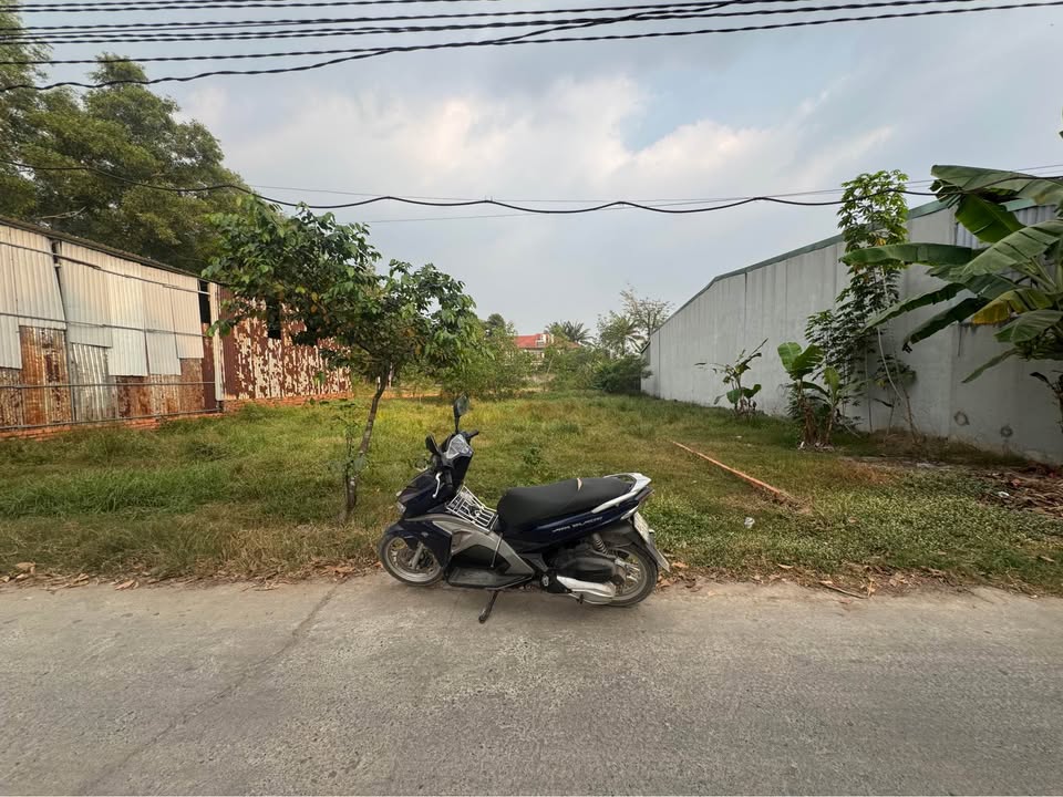 Đất nền đẹp tại Mỹ Hạnh Nam, diện tích 120m² giá chỉ 1.5 tỷ - Đầu tư sinh lời ngay!