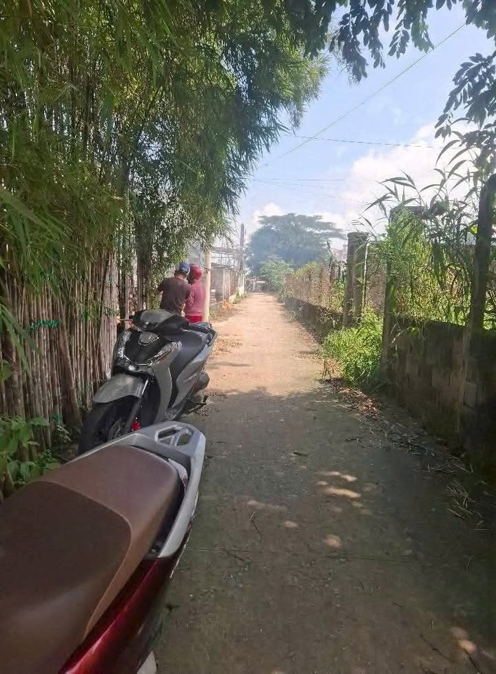 Đất nền Tân Hiệp Hóc Môn 108m² giá 2.65 tỷ - Sổ hồng chính chủ, xây dựng tự do!