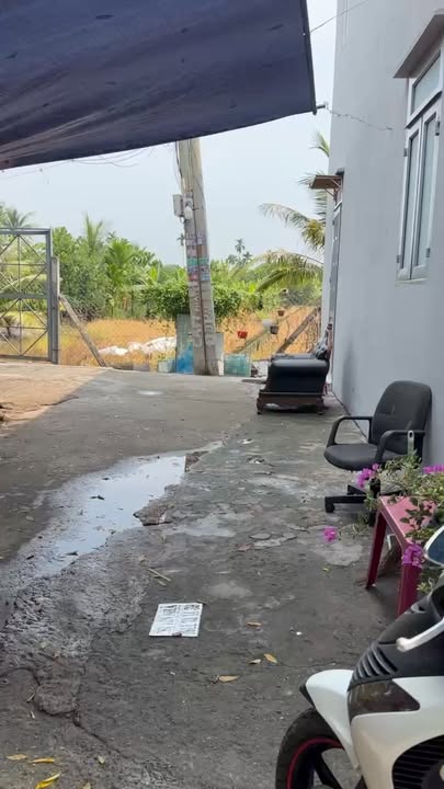 Shophouse Ấp 6, Bình Mỹ, Củ Chi 48m² giá 1.15 tỷ - Góc 2 mặt tiền đắc địa!