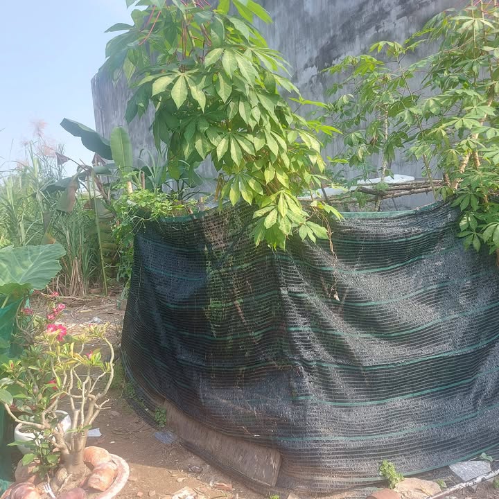 Đất nền KDC Hiện Hữu Long Hậu 100m² giá 1.7 tỷ - Hẻm xe hơi thoáng đãng!