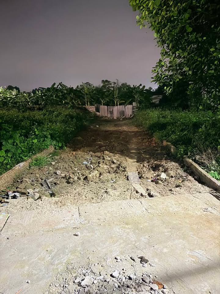 Đất nền mặt tiền đường ô tô Trạm Lộ 100m² giá 3 tỷ - Cơ hội đầu tư hấp dẫn!