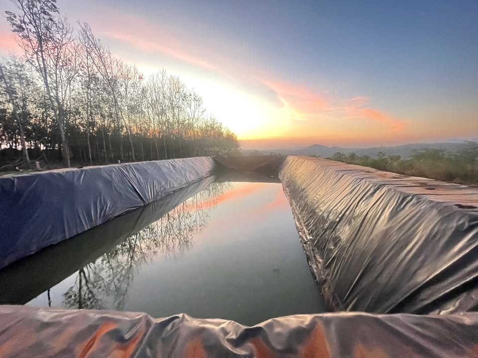 Đất Farm 6,2 hecta Ea H’leo giá 9,6 tỷ - Đầu tư tiềm năng sinh lời!