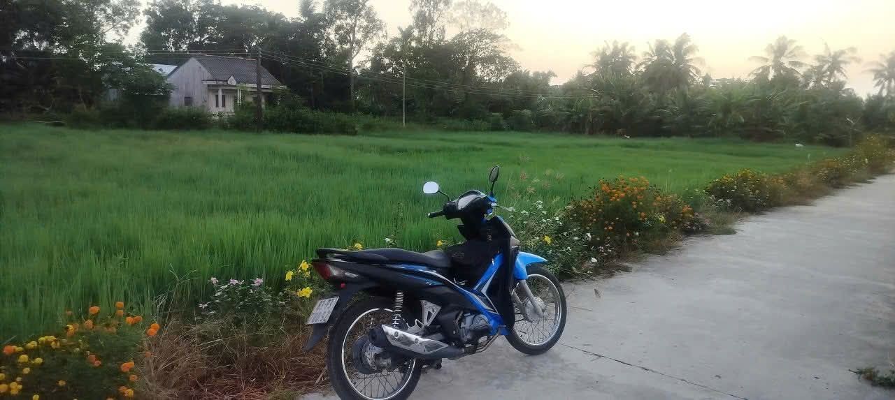 Đất nền xã Tài Văn, huyện Trần Đề, 300m² giá 295 triệu - Sổ hồng chính chủ!