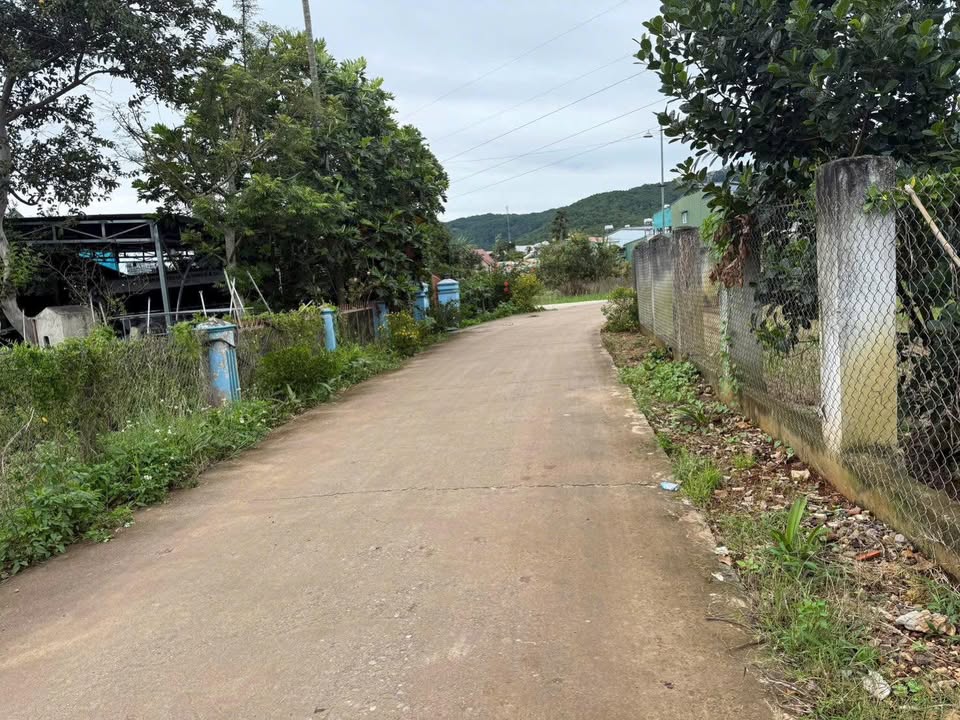 Đất nền Thạnh Mỹ Đơn Dương 260m² giá 1.1 tỷ - Sổ hồng chính chủ, sang tên ngay!