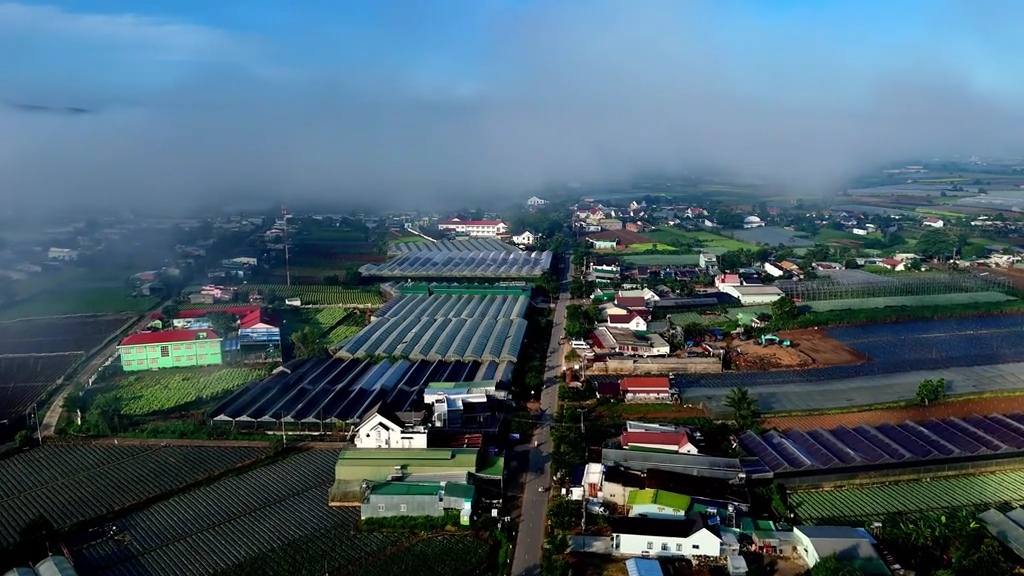 Đất nền tại khu dân cư Châu Sơn, xã Lạc Xuân, 260m² giá chỉ 1.25 tỷ - Đầu tư sinh lời cao!