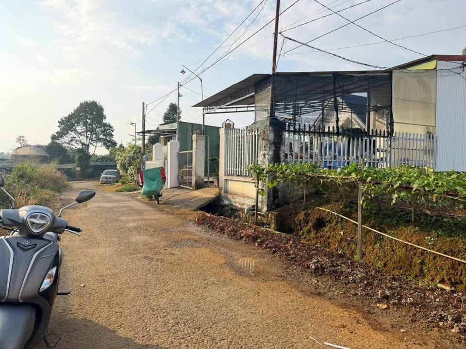 Đất Hẻm 56 Chi Lăng, Lộc Sơn, Bảo Lộc 333m² giá 2.5 tỷ - Chính chủ bán gấp!