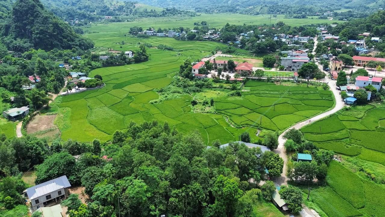 Đất nền Farm tại Lương Sơn, Hòa Bình 2.200m² giá 4 tỷ - Tiềm năng đầu tư hấp dẫn!