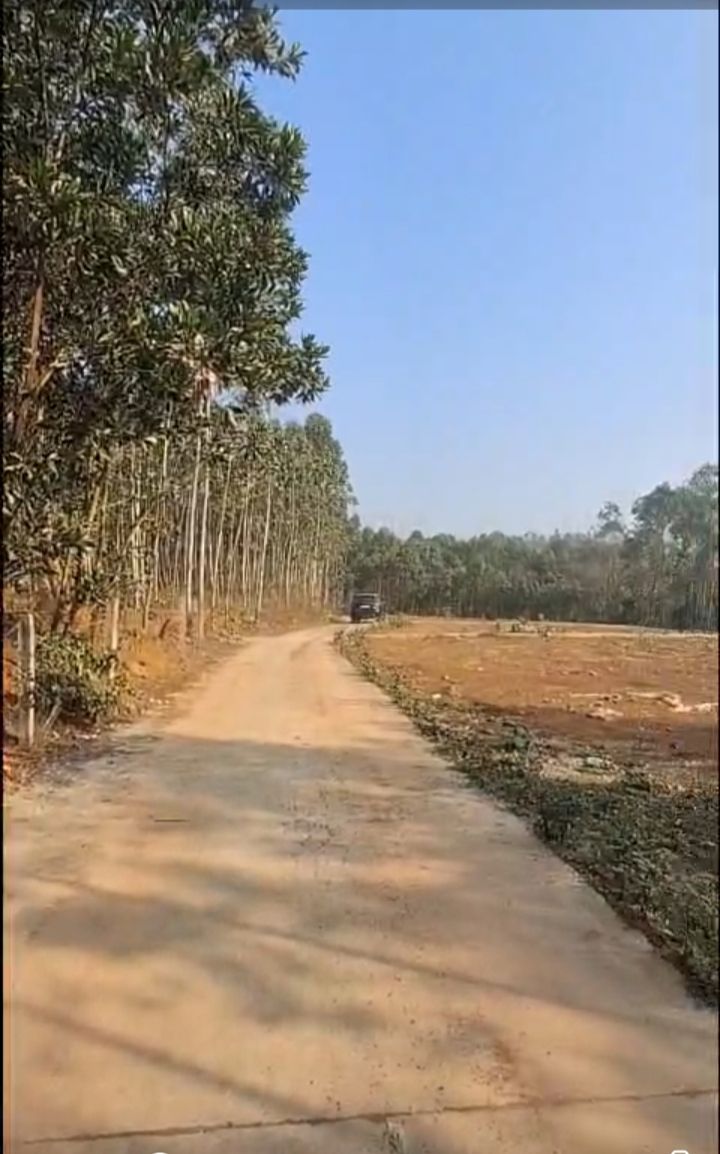 Lô đất quy hoạch CLN Xã Ngọc Thanh 1334m² giá 1.334 tỷ - Cơ hội đầu tư hấp dẫn!