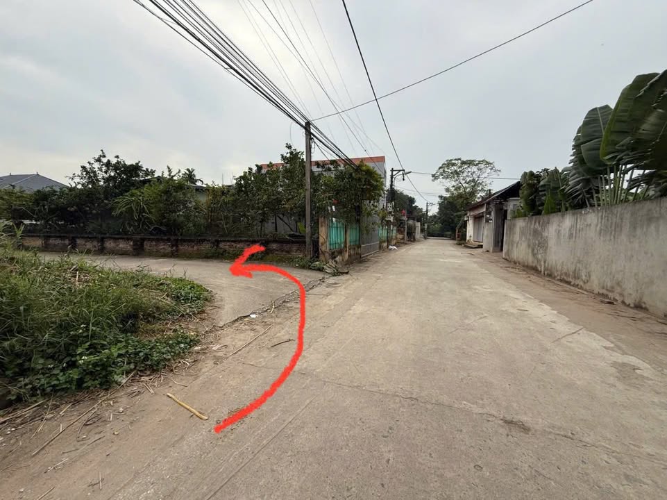 Đất nền Thạch Đà, Mê Linh 81,3m² giá 2 tỷ - Sổ đỏ chính chủ, an ninh tốt!