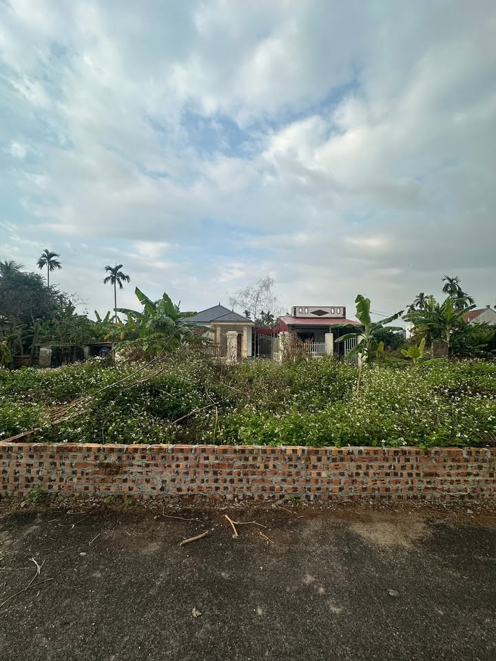 Lô đất Kính Trực, Tân Phong 61.2m² giá 880 triệu - Đầu tư sinh lời hấp dẫn!