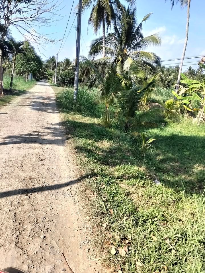 Đất nền 1180m² tại Trung Thành Đông, Vĩnh Long giá 380 triệu - Cần bán nhanh!