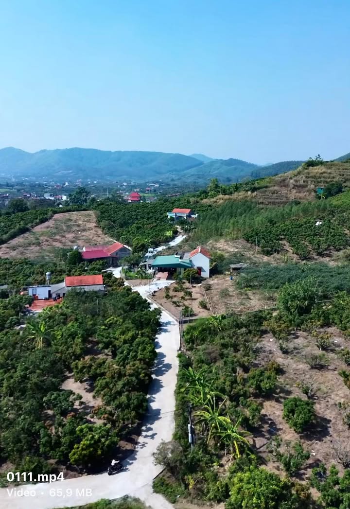 Đất thổ cư 260m², 1950m² tại Kiên Thành, Lục Ngạn - Giá chỉ vài trăm triệu!