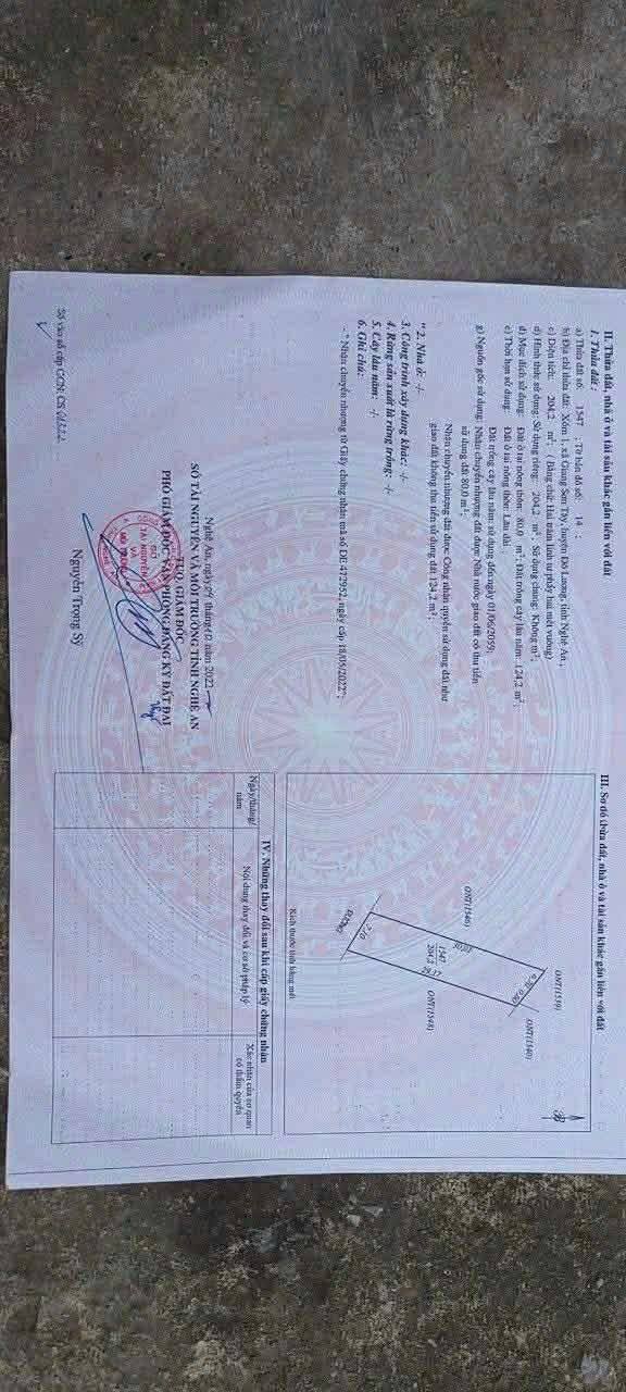 Đất thổ cư xã Giang Sơn Tây, huyện Đô Lương, 203m² giá chỉ 300 triệu - Cơ hội đầu tư tuyệt vời!