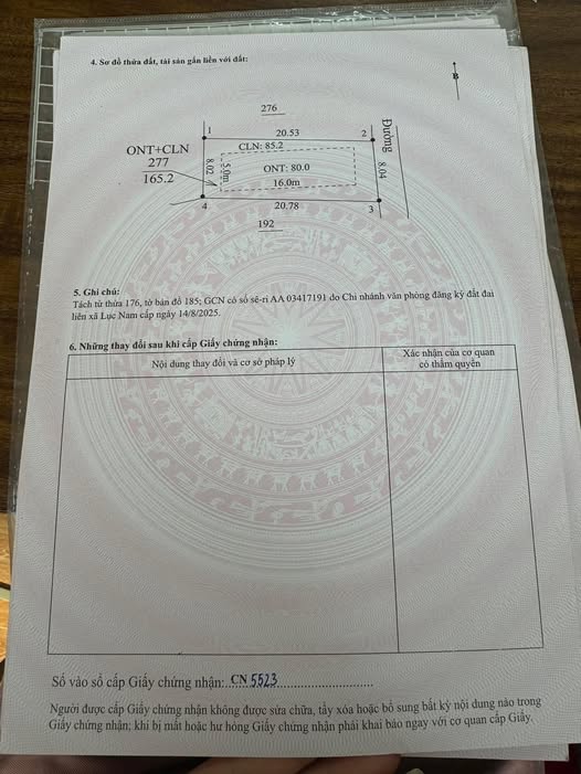 Đất nền Tiên Nha Lục Nam 160m² giá 400 triệu - Đầu tư sinh lời ngay!