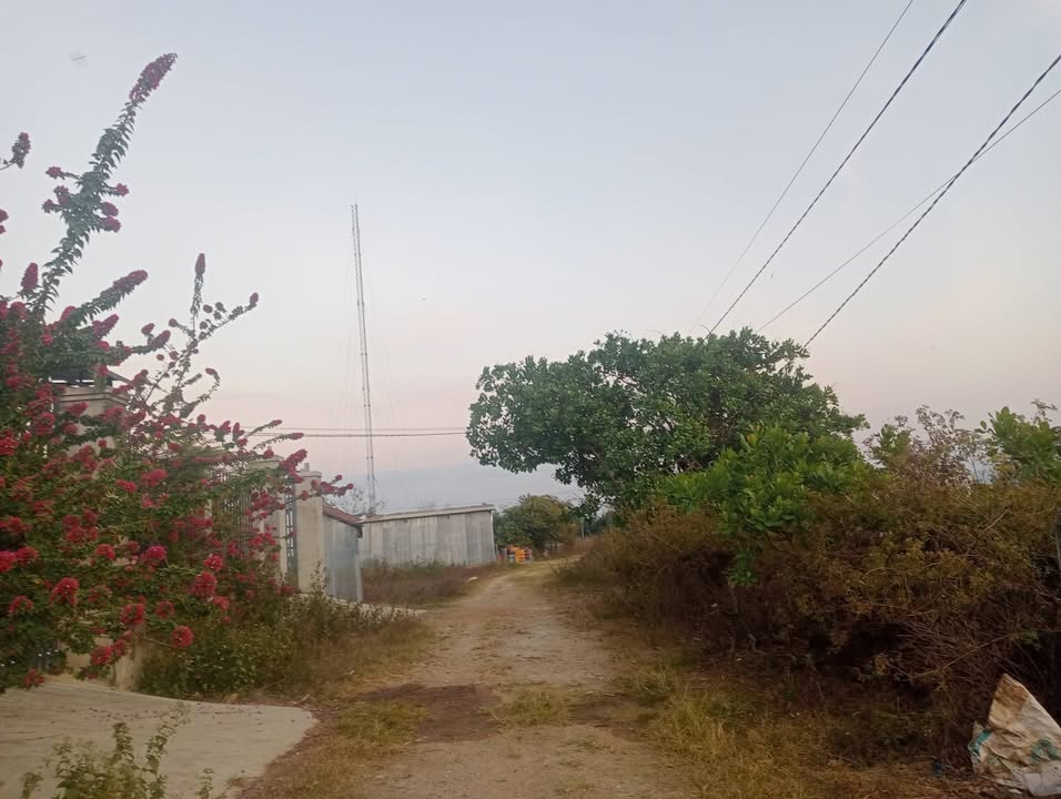 Lô đất đẹp tại Thôn 7, Xã Ea Lê, 570m² giá 5.937 tỷ - Cơ hội đầu tư tuyệt vời!