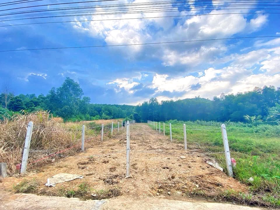 Đất thổ cư Diên Đồng, Diên Khánh 437m² giá 1.399 tỷ - Cơ hội đầu tư tuyệt vời!