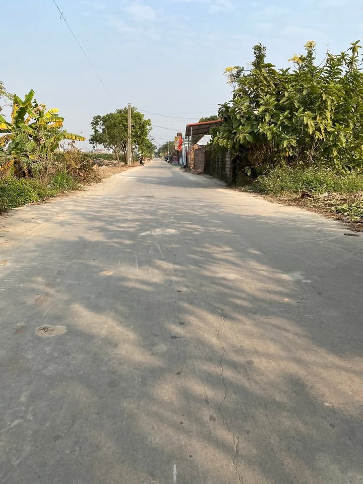 Đất thổ cư Thôn Nứa, Đoan Bái, 100m² giá 1,5 tỷ - Đầu tư tiềm năng!