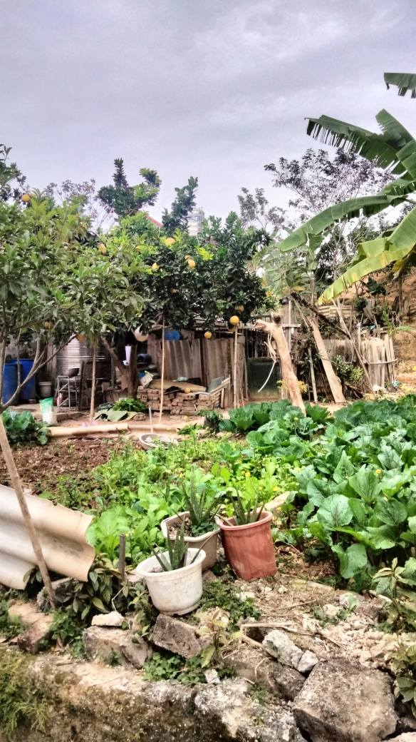 Đất nền Huyện Chi Lăng 132m² giá 1.1 tỷ - Hướng Tây Bắc, ngõ ô tô 7 chỗ!