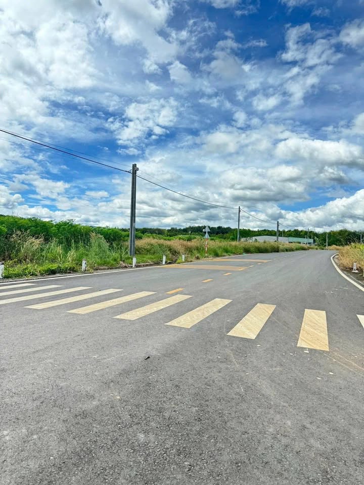 Đất nền 3000m² tại Bến Cát chỉ 1 tỷ - Cơ hội đầu tư hấp dẫn!