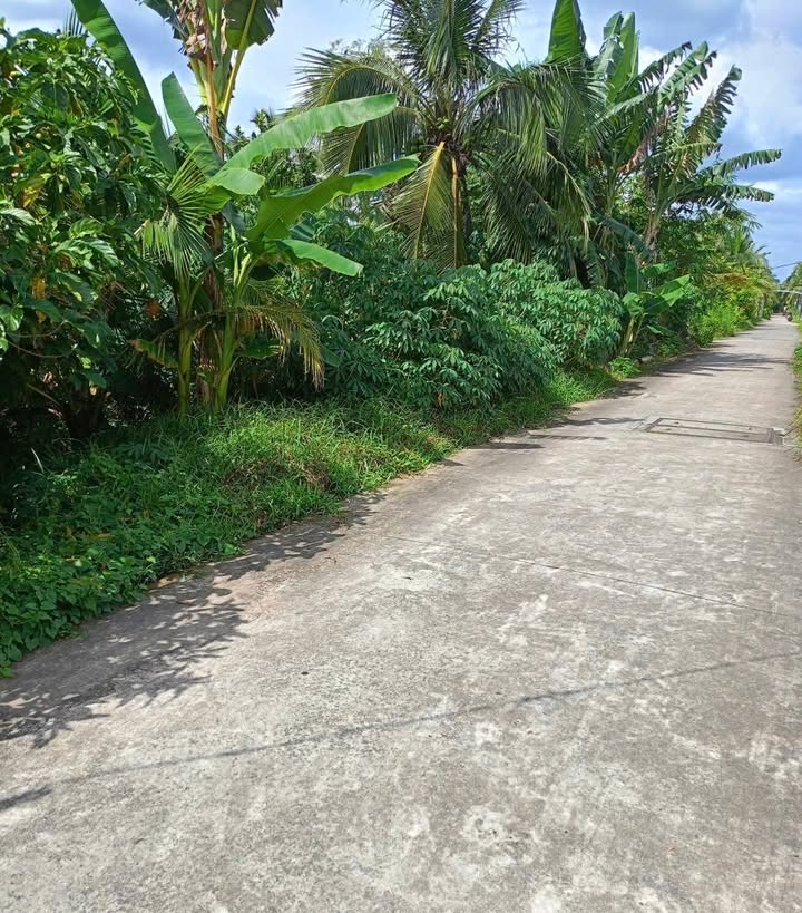 Đất nền Phường Sơn Đông, 398m² giá 1.39 tỷ - Đầu tư sinh lời ngay!