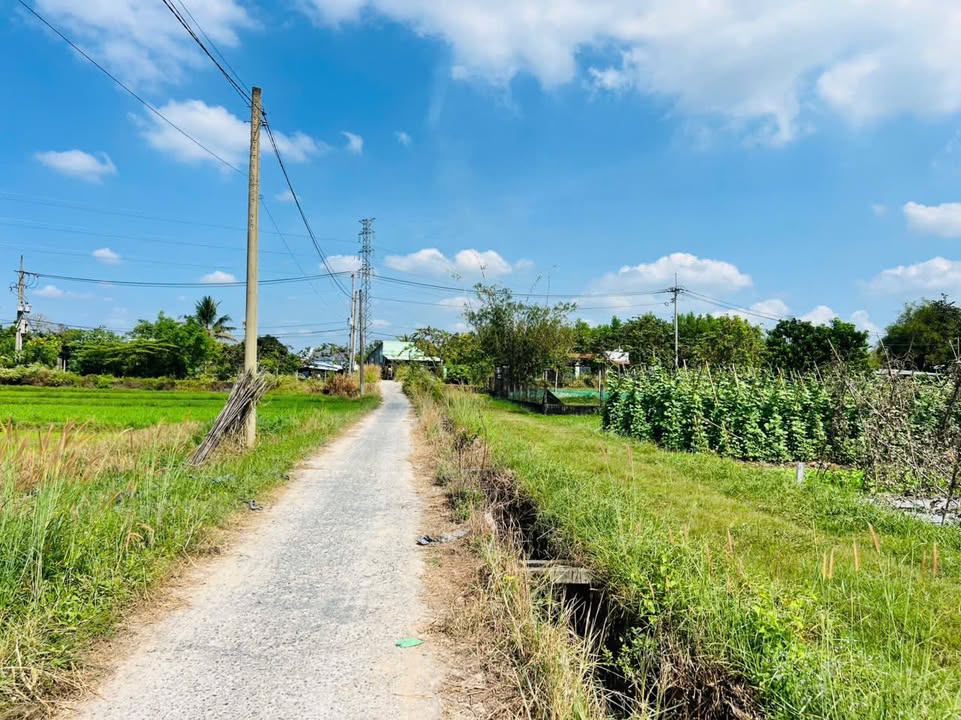 Đất nền thổ cư Phước Thạnh, Củ Chi 350m² giá chỉ 1 tỷ - Đầu tư sinh lời ngay!