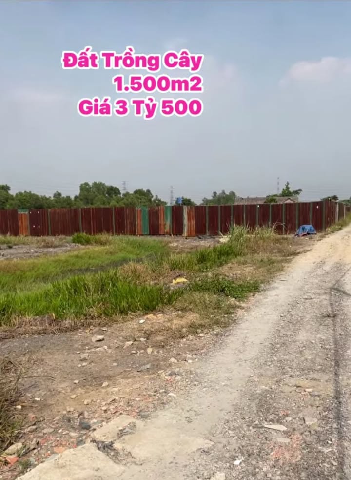 Đất trồng cây xã Thới Tam Thôn 1500m² giá 3.5 tỷ - Sổ riêng chính chủ!