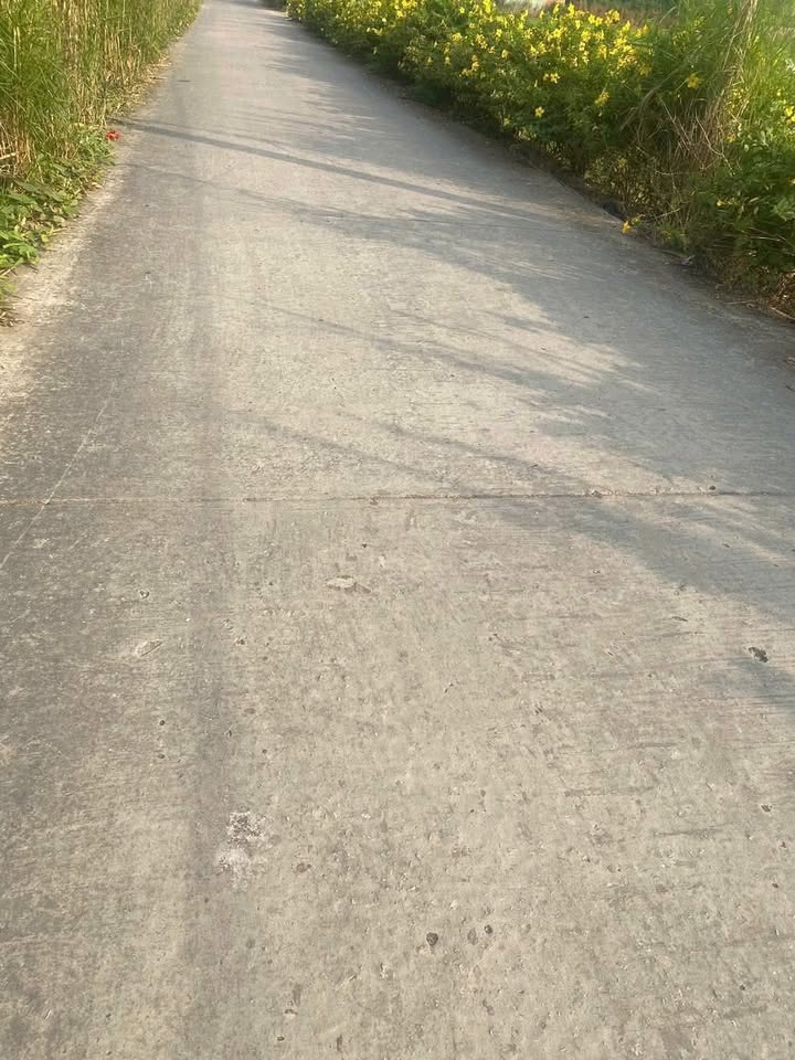 Đất nông nghiệp 15.000m² tại Xã Phú Tâm, Châu Thành - Giá chỉ 3.9 tỷ