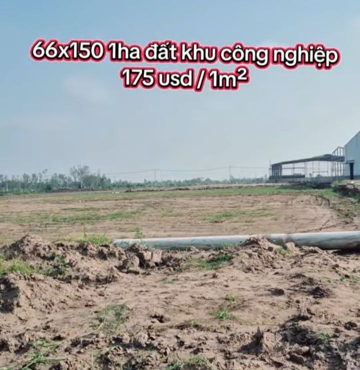 Warehouse 1ha khu công nghiệp Thủ Thừa Long An giá thỏa thuận - Cơ hội đầu tư hấp dẫn!
