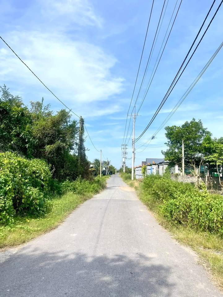 Đất nền thổ cư 1354m² đường Võ Thị Đống, Củ Chi - Vị trí đẹp, giá tốt