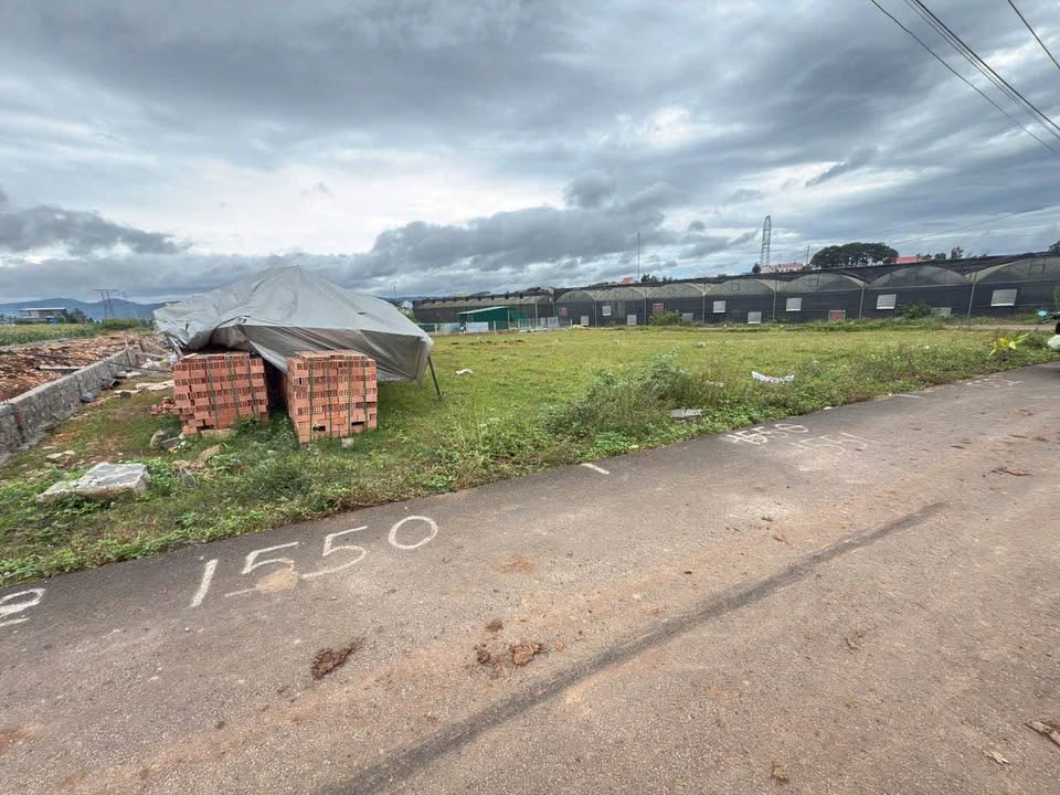 Đất nền Phú Hội, Lâm Đồng 200m² giá 1.05 tỷ - Cơ hội đầu tư tuyệt vời!