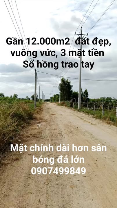 Đất nền 12000m² tại Xã Tân Nghĩa, Huyện Di Linh - Giá tốt, sổ hồng trao tay!