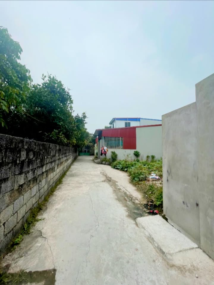 Bán đất Phường Lam Sơn, TP. Hưng Yên 105m² - Vị trí đẹp, đầu tư sinh lời!