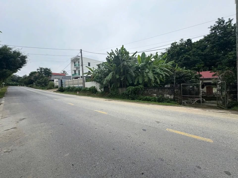 Đất nền Minh Hòa Yên Lập 169m² giá thỏa thuận - Tiềm năng sinh lời cao!