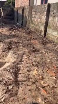 Đất nền TDP Hương, Xã Tân An, Bắc Ninh 346m² - Đường ô tô vào tận đất!