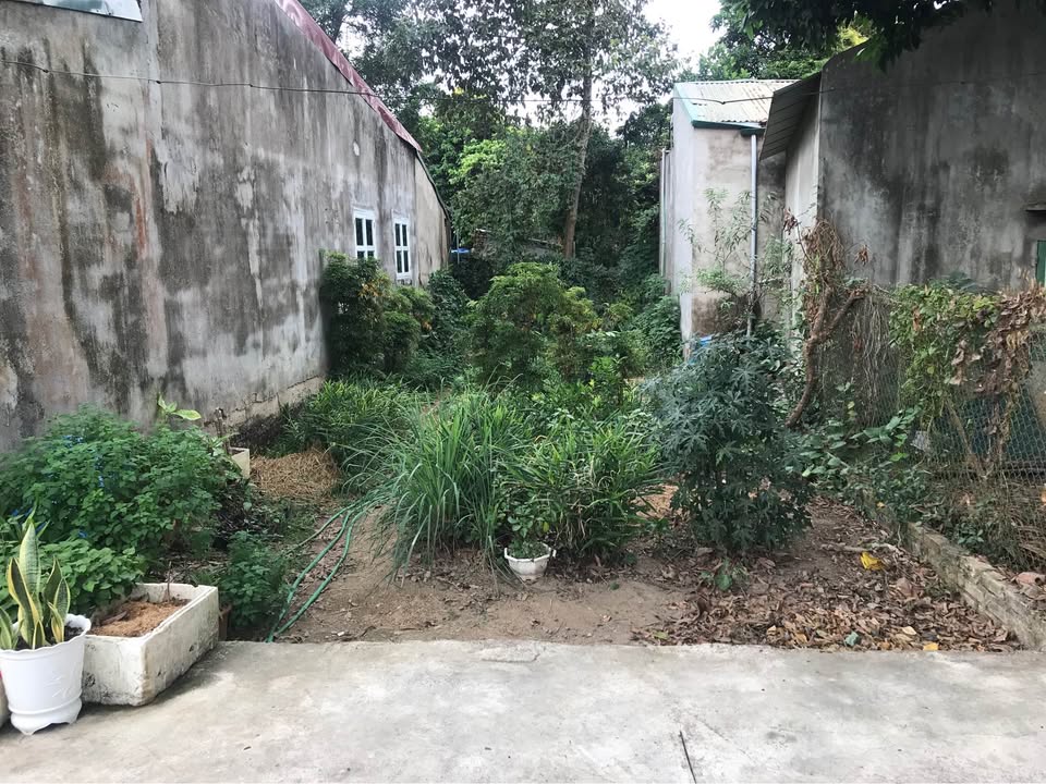 Đất thổ cư Tổ 11 Nam Thanh 100m² giá 500 triệu - Vị trí đắc địa gần trường học!