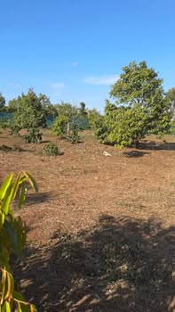 Đất nền đầu tư 64,000m² tại Đường Hoàng Việt, Thị Xã Buôn Hồ - Cơ hội không thể bỏ lỡ!