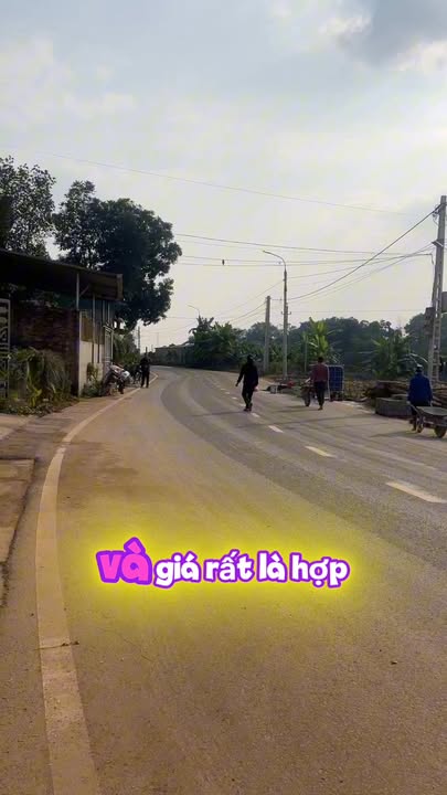 Đất nền Phong Châu, Thị xã Phú Thọ 100m² giá 1.5 tỷ - Phân khúc hiếm, đầu tư sinh lời!