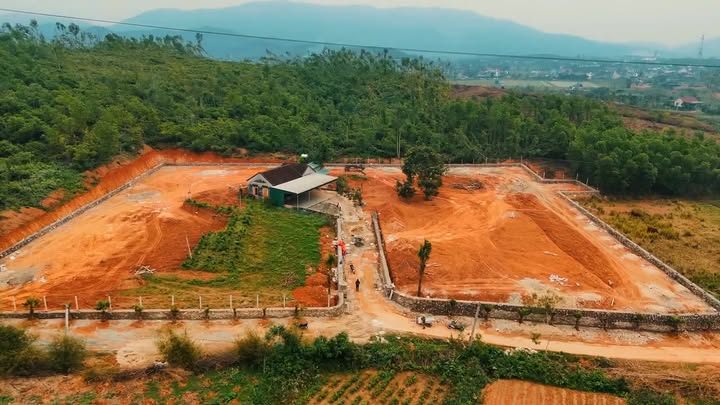 Đất nền Nam Đàn 6000m² giá 9.6 tỷ - Cơ hội đầu tư lý tưởng!