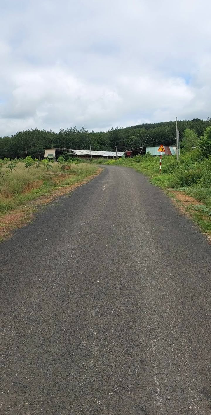 Đất vườn Chơn Thành, Bình Phước 1000m² giá chỉ 150 triệu - Cơ hội đầu tư tuyệt vời!