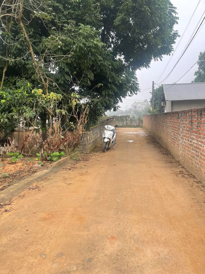 Đất thổ cư Khu 8 xã Hà Lộc 144m² giá chỉ 700 triệu - Cơ hội đầu tư hấp dẫn!