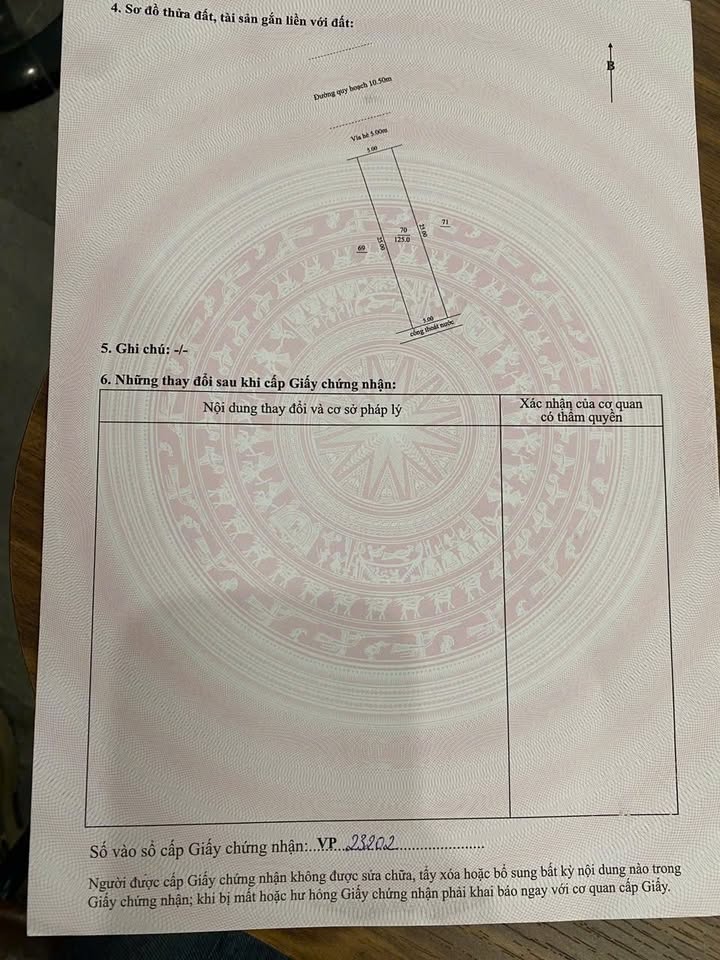 Đất nền 125m² đường 10m5, Quận Liên Chiểu, Đà Nẵng - Cơ hội đầu tư sinh lời!